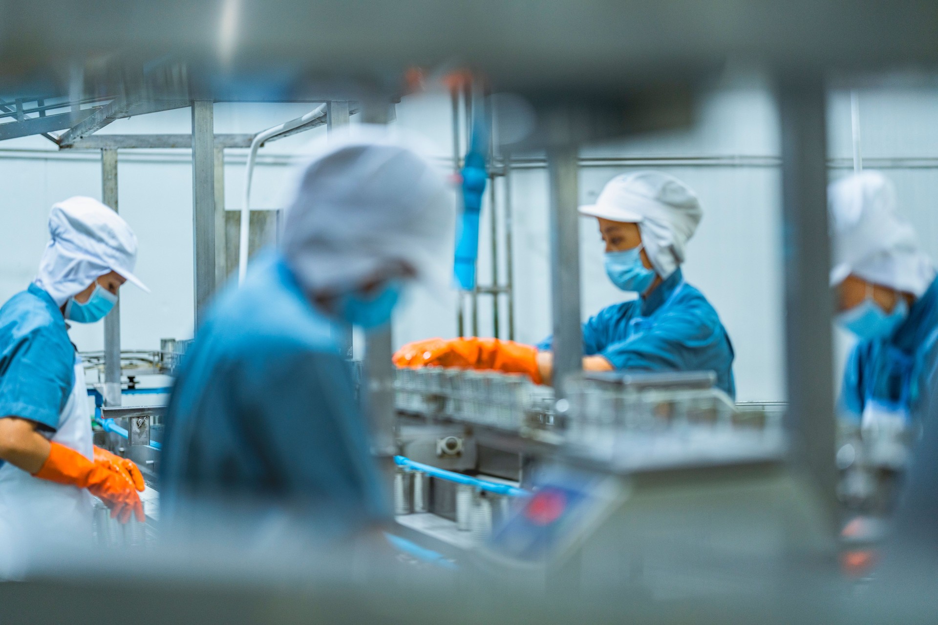 Industrial workers operating on a fish canning production line Emphasis on safety hygiene and workflow optimization in a modern manufacturing facility.