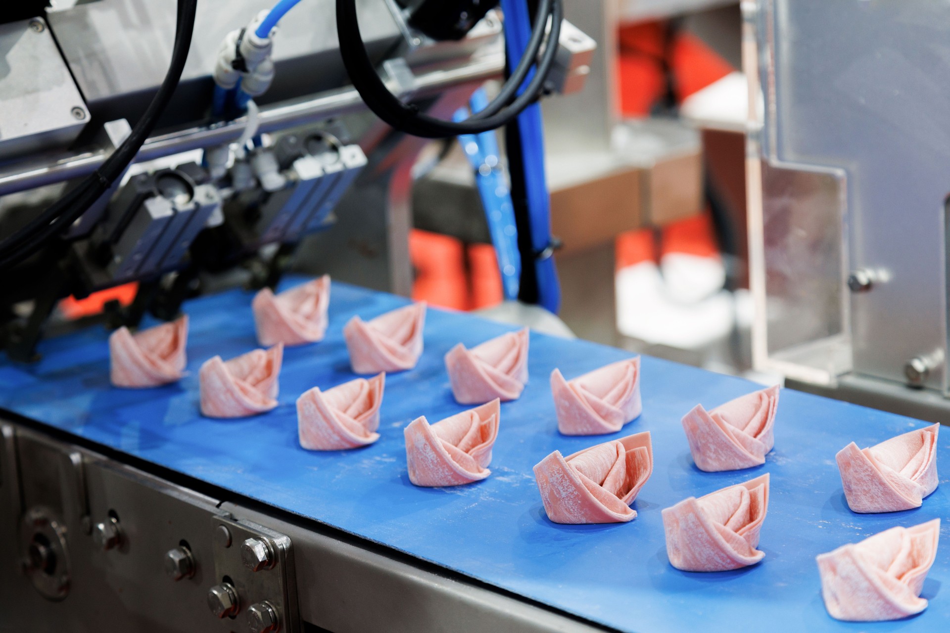 stuffed dumpling moving on the conveyor belt from automatic machine at food making production line in the factory. high technology of food automation machine working at the manufacturing.